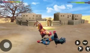 Đá Gà 3D Tại EE88