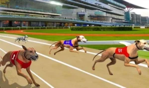 Đua Chó Tại EE88