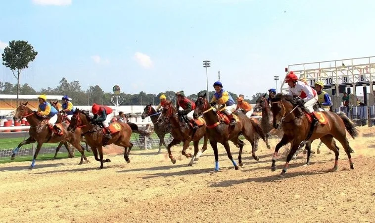 Cần phân tích kỹ về ngựa chiến trước khi cá cược đua ngựa EE88